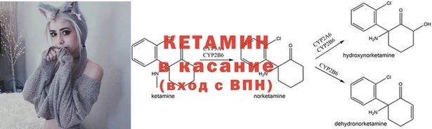 винт Богородицк