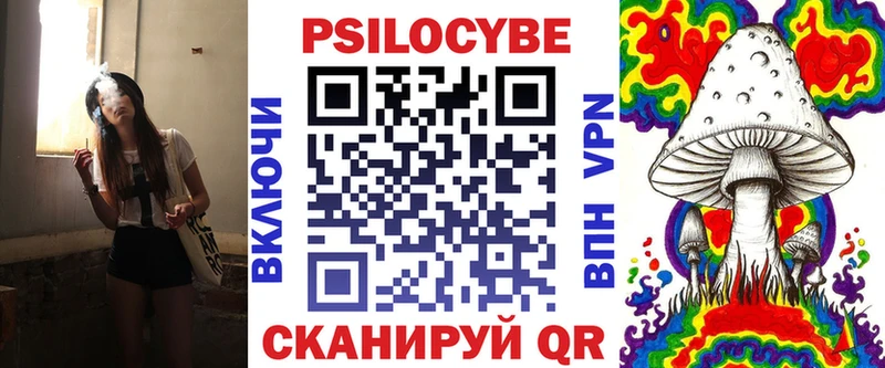 дарнет шоп  Белоозёрский  Псилоцибиновые грибы мицелий 
